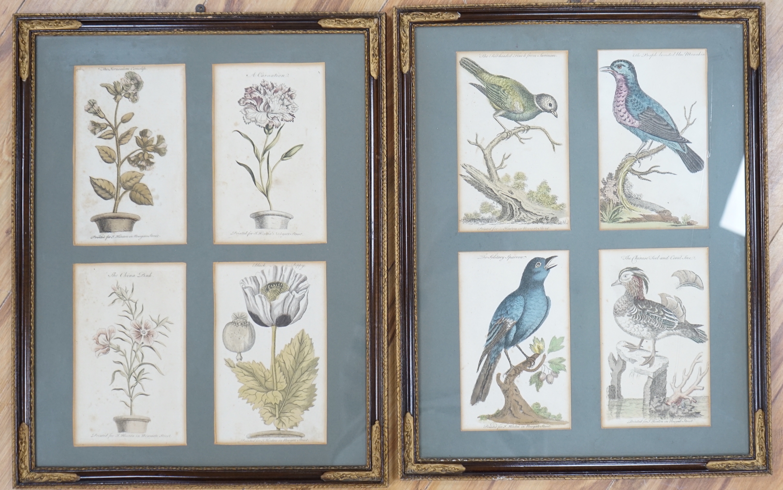 Four 18th century colour engravings, mounted and framed as a pair, Birds and flowers including The Solitary Sparrow and The Black Poppy, each printed for J Hinton, Newgate Street, each with book title pages verso, ‘a sup